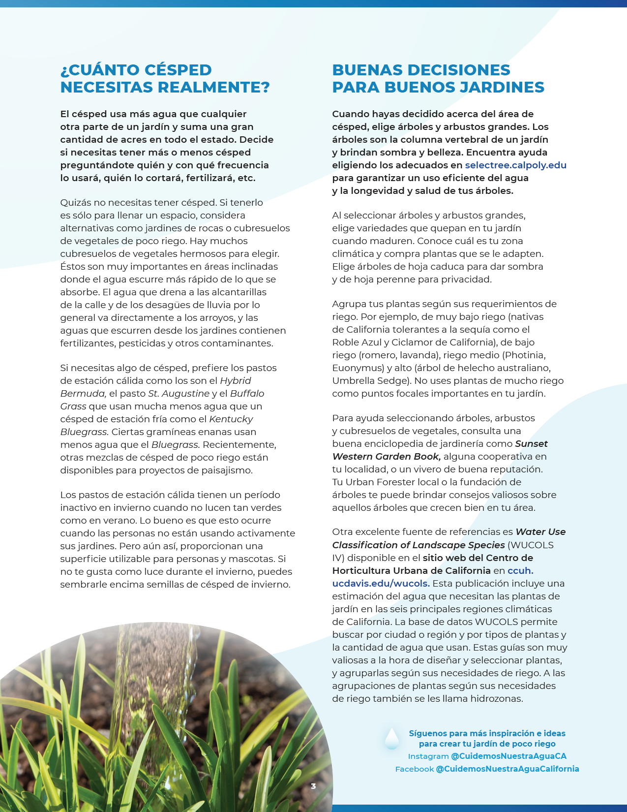 Save our water collateral page 3