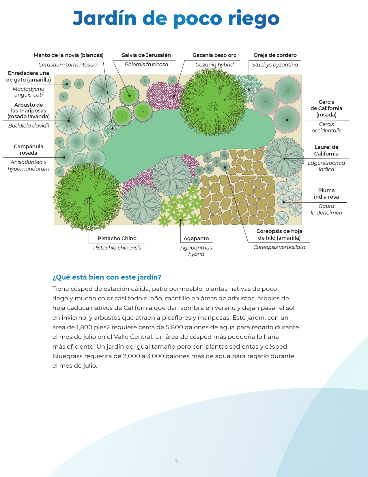 Save our water collateral page 5
